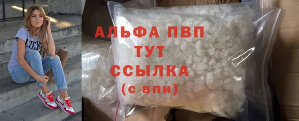 spice Беломорск