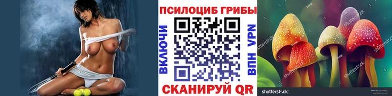 купить закладку  МЕГА зеркало  Галлюциногенные грибы мухоморы  Вяземский 